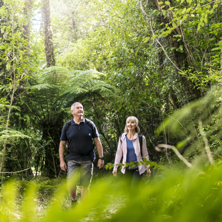 A couple walk through native forest on the Queen Charlotte Track.