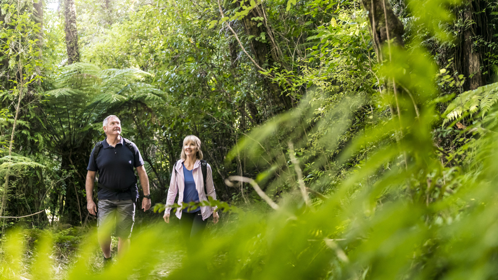 A couple walk through native forest on the Queen Charlotte Track.