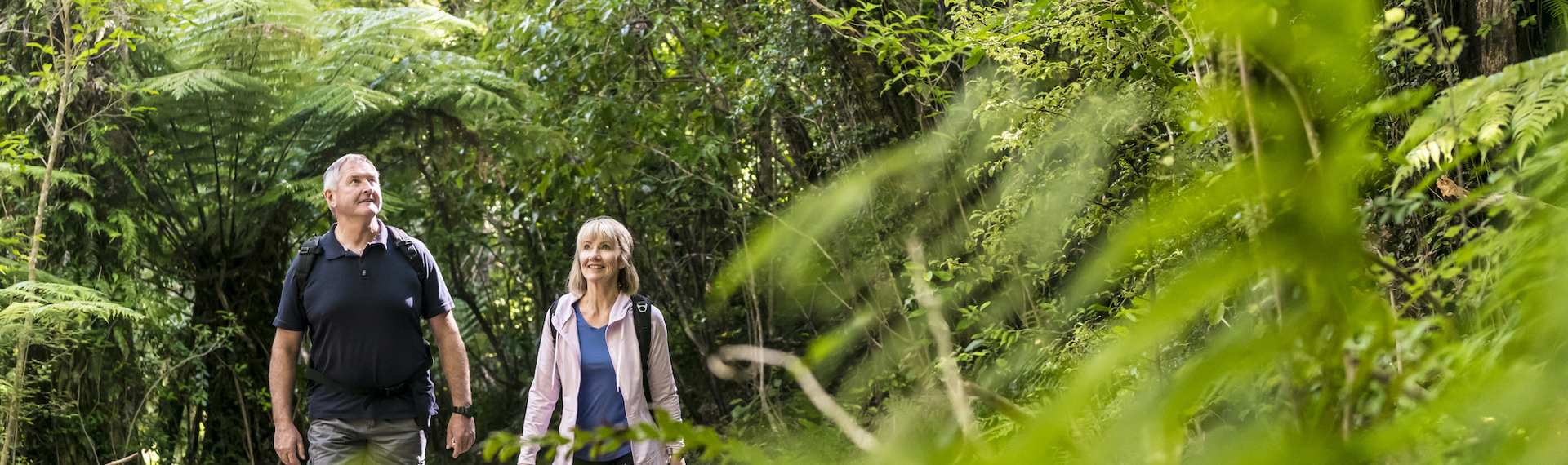 A couple walk through native forest on the Queen Charlotte Track.