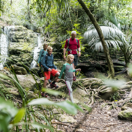 Family of four walking in front of a waterfall on the Queen Charlotte Track.