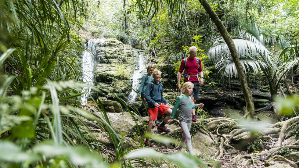 Family of four walking in front of a waterfall on the Queen Charlotte Track.