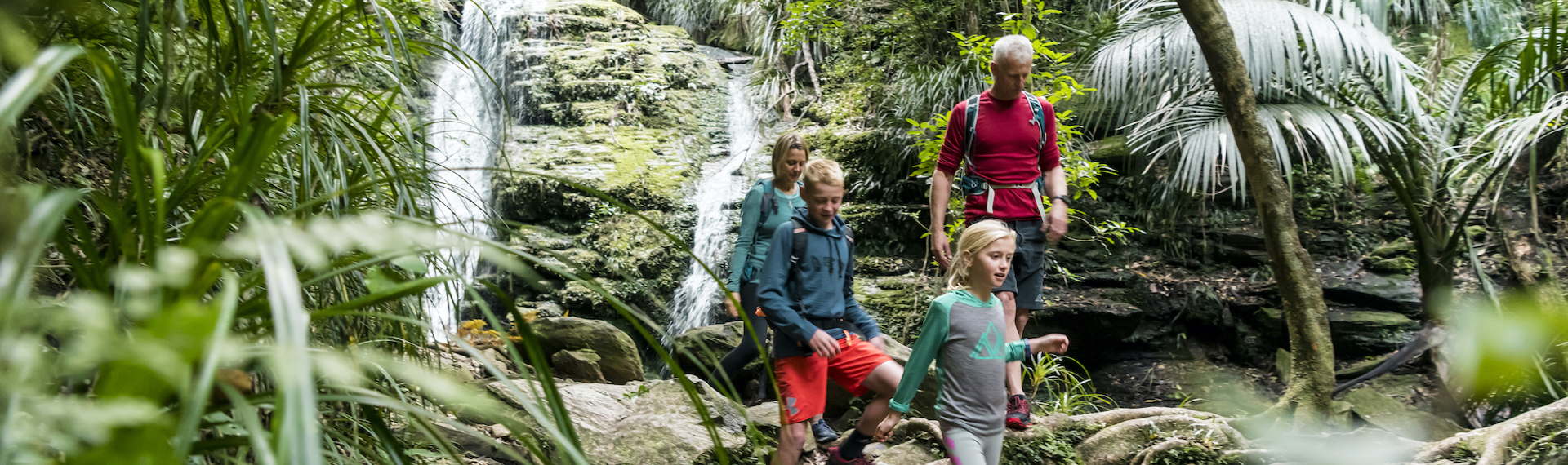 Family of four walking in front of a waterfall on the Queen Charlotte Track.