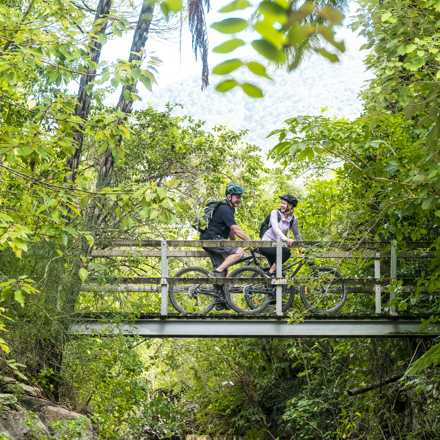 A male and female cyclist bike over a wooden bridge on the Queen Charlotte Track.