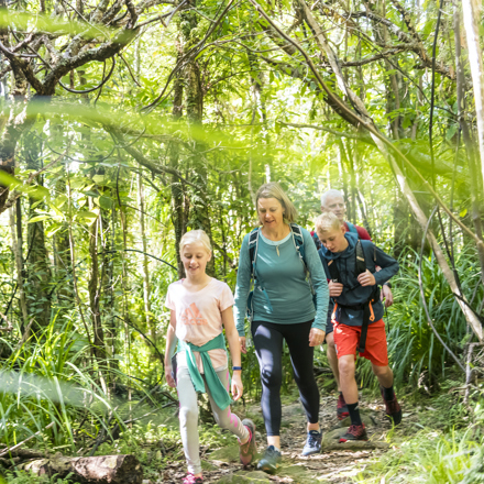 A family of four walk through native bush along the Queen Charlotte Track.