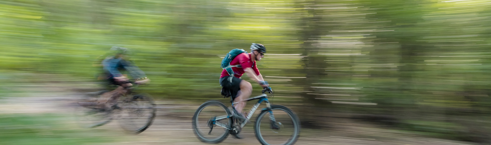 Two mountain bikers ride on the Queen Charlotte Track in the Marlborough Sounds, New Zealand.