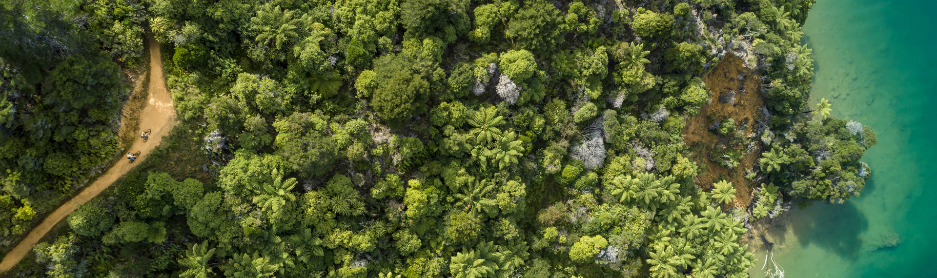 Aerial image of two bikers biking the track through bush edging the water.