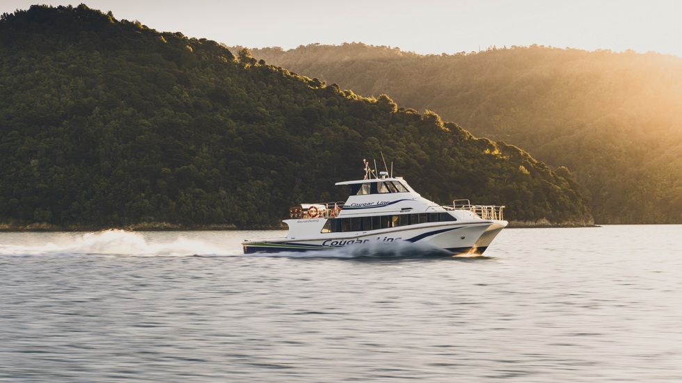 Boat cruises through the Marlborough Sounds at sunset, New Zealand.