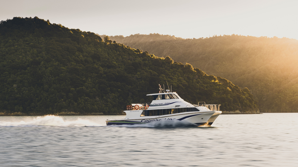 Cougar Line boat cruising Marlborough Sounds at sunset, New Zealand