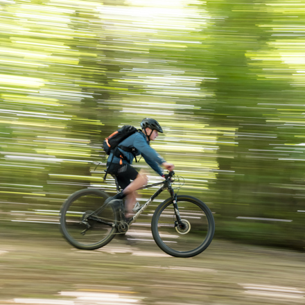 A boy bikes fast along the Queen Charlotte Track with native bush behind.