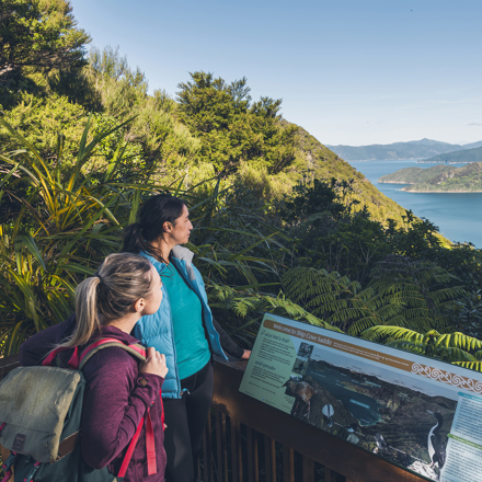 Two women walkers stand at a lookout on the Queen Charlotte Track looking over Resolution Bay.